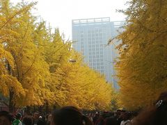 -辽宁大学(崇山校区)