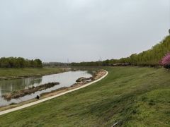-洨河生态公园