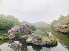 -乾园.魏庐湖景餐厅(花港店)