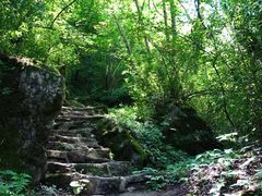 -青峰峡国家森林公园