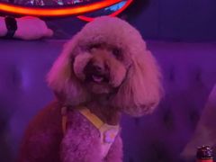 -星聚会KTV X PARTY K(上海东方渔人码头店)