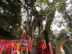 -七仙岭温泉国家森林公园