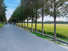 -嘉北郊野公园