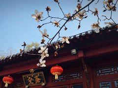-长春观