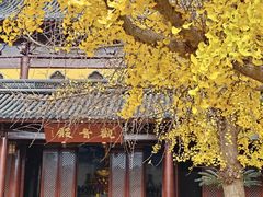 -北寺塔