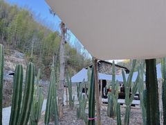 -MOJ coffee(瓯海泽雅水碓坑店)