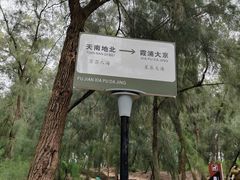 -大京沙滩