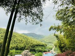 -宁波浙东大竹海景区
