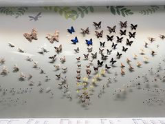 -香港科学馆