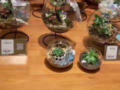 -矢量咖啡(万象汇店)