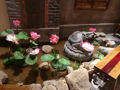 -小龙坎老火锅(红旗街店)