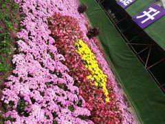 -芳芳餐厅(白沙路店)