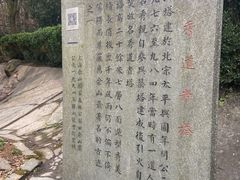 -上海佘山国家森林公园西佘山园