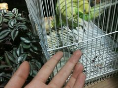 -南京夫子庙国际青年旅舍(平江府路店)