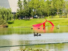 -洋湖国家湿地公园