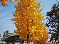 -晋祠公园