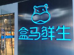 门面-盒马鲜生(龙德广场店)