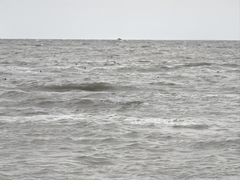 -兴城海滨风景区