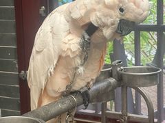 -四海楼(如皋定慧禅寺店)