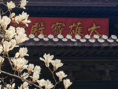 -灵谷景区