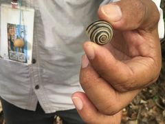 -龙坑生态保护区