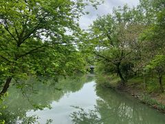 -西溪国家湿地公园