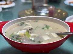 -煲来饱去冷水鱼