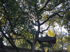 -天一阁博物院