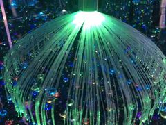 -深圳独角兽星空艺术馆