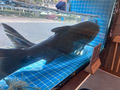 -浔味·山屿湖·正宗全鱼宴老字号