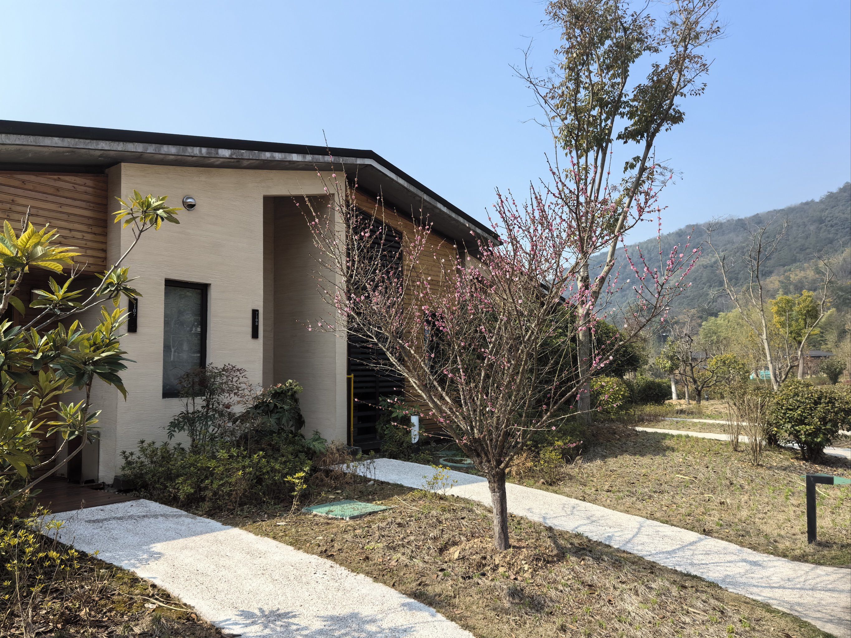 第三次入住莫干山开元森泊别墅
