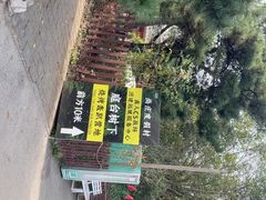 -尚庄度假村·庭台树下·户外烧烤·团建CS·轰趴营地(上庄水库店)