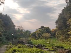 -铁山坪森林公园