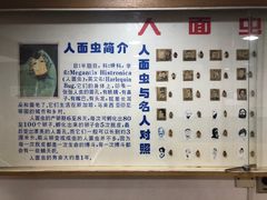 -上海大自然野生昆虫馆(东方明珠·爬宠昆虫探索中心)