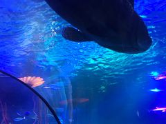 -沈阳海洋探索中心