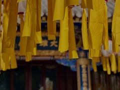 -护国法轮寺