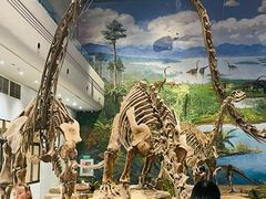 -自贡恐龙博物馆