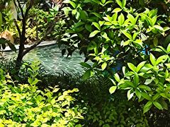 -海兰云天度假区温泉