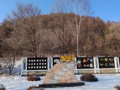 -横道河子东北虎林园