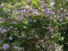 -188西餐厅(园林宾馆店)