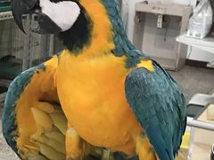 -美味居(古城店)