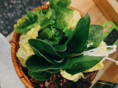 -洪氏嗨捞·猪肚鸡火锅(阳光天地店)