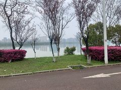 -艾溪湖湿地公园