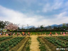 花园-盈香心动乐园