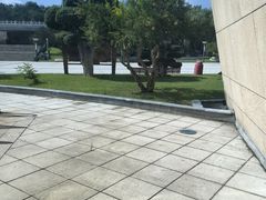 -烟台自然博物馆