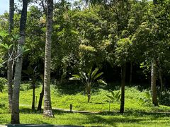 -三亚海棠湾万丽度假酒店