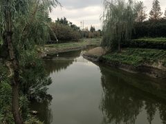-上海崧泽遗址博物馆