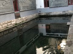 -芙蓉泉·烤鸡爪(芙蓉街店)