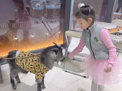 -怪兽屋·羊驼·猫咖·狗咖(俊华广场店)