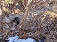 -北京西山国家森林公园